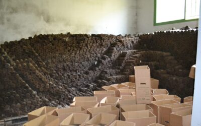 Briquette Production in the Shouf